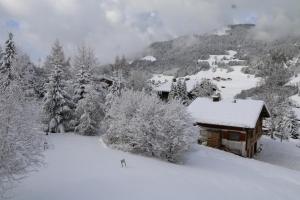 Appart'hotels La Residence de L'Ours : photos des chambres