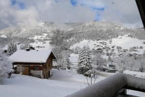 Appart'hotels La Residence de L'Ours : photos des chambres