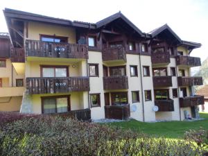 Facing the Chamonix Needles