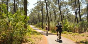 Campings SevServices aux Dunes de Contis : photos des chambres