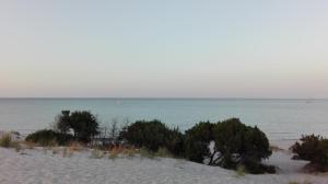 Sunflower house img21