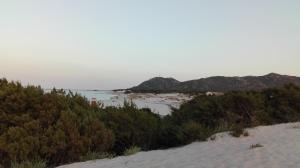 Sunflower house img20