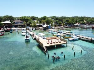 Splash Inn Dive Resort & Villas