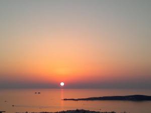 Olive Tree House in Parikia Paros Greece