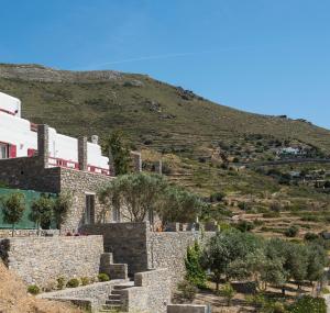 Olive Tree House in Parikia Paros Greece