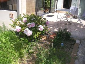 Maisons d'hotes Le Jardin d'Adam : photos des chambres