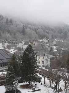 Appartements Le Sarciron : photos des chambres