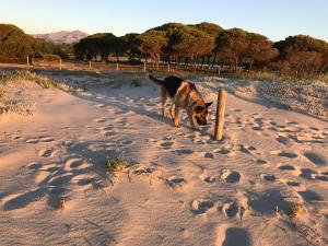 Le case di Helga img21