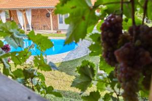 Guest House Milevkini Dvori