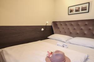 Standard Double or Twin Room room in Hotel Evropa