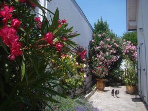 "Les ROSIERS"