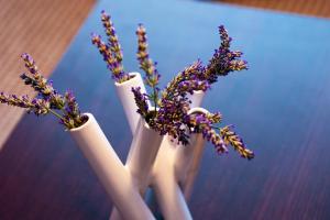 Sunny & Spacious, 2 BR apartment with free parking