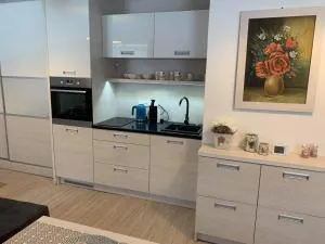 Apartmán Filipovice s letní terasou - Filipovice