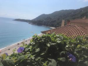 All about view Agios Ioannis Papa Nero Pelion Greece