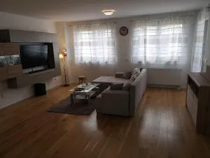 DAVID-IN 2 - Zagrebačka Dubrava