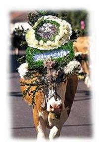 Appartements KALSWIRT