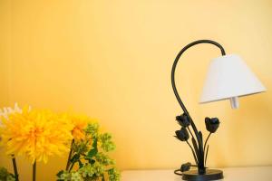 B&B L'Albero Dei Limoni img35