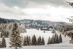 Silver Mountain G1 21 R