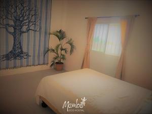 Mambo Ecohostal