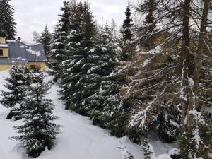 Boutique Apartment Petra