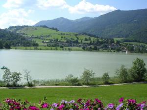 Frühstückspension Seefried