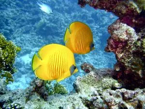 AOTEAROA - Caserío Los Fuentes de los Solanos