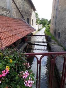 Maisons de vacances Gite Aux Lauriers : photos des chambres