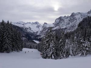 Dachstein view ski apartment