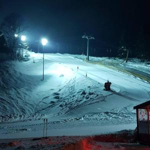 Dachstein view ski apartment
