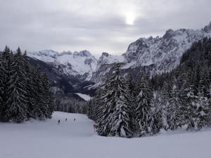 Dachstein view ski apartment