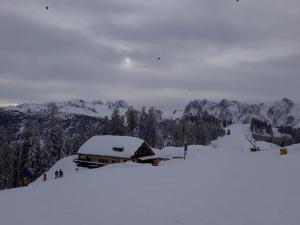 Dachstein view ski apartment