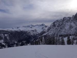 Dachstein view ski apartment