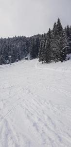 Dachstein view ski apartment