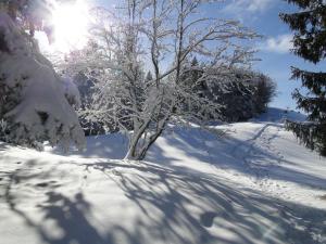 Hôtel Notre Dame Des Neiges photo 6