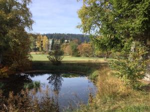 Gemütliche 1Z FeWo in Schönwald mit Balkon, Schwimmbad, Sauna, Fitness