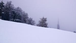 Vintlerhof