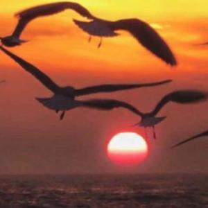 Casa 4 quartos Condomínio em Frente a Praia Grande