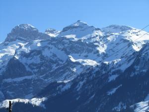 Gutenbrunnenstrasse 94