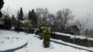 Apartments Spiros Pelion