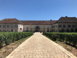 B&B / Chambres d'hotes Chateau de Chassagne-Montrachet : photos des chambres