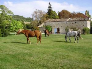 Maisons de vacances Gites Grand Pre ! et la Roulotte de Roquecor : photos des chambres