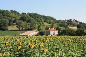 Maisons de vacances Gites Grand Pre ! et la Roulotte de Roquecor : photos des chambres