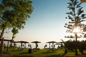 Zarkadis Beach Apartments Zakynthos Greece