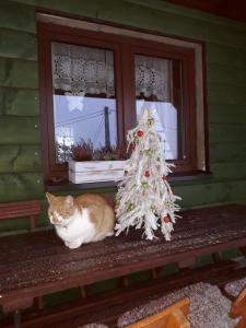 Domki i Apartamenty Rogate Anioły