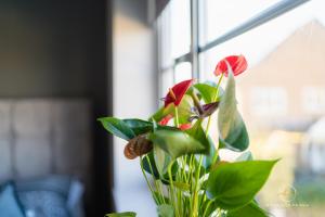 The Buddha House Huntingdon Boutique Rooms