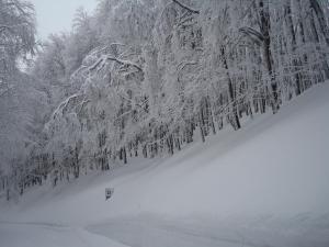 Appartamento Rialto Terminillo