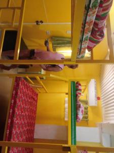 Yellow House Vacation Rental