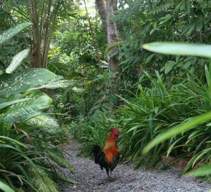 BaanRaiChayKhaoFarmStay