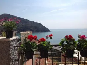 Partenope - Levanto