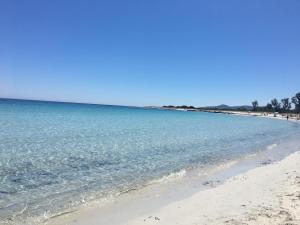 Appartamento Li Puntiti 2 img2